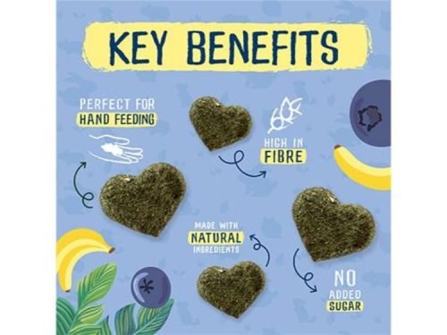 BU-FP100046SN12 - Burgess Excel Fruity Feasts 60gr 1