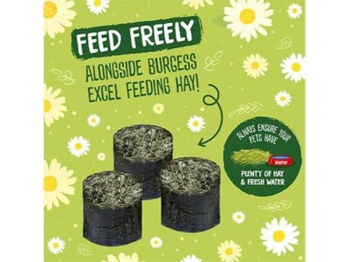 BU-FP100046SN4 - Burgess Excel Meadow Munchies 1kg. - Høbidder 2