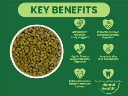 Burgess Excel Adult Rabbit med mint foder