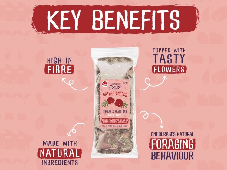 Burgess Excel Forage & Feast Hay Bar with Rose 1