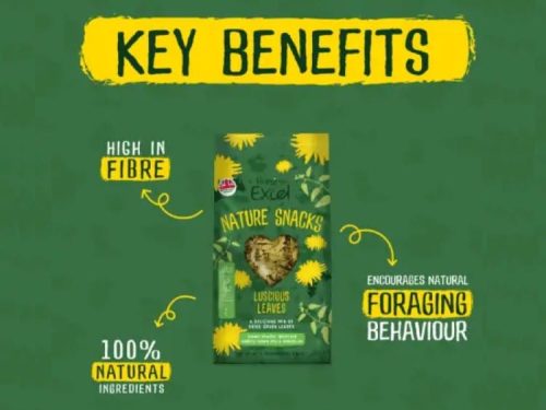 Burgess Excel Luscious Leaves 2