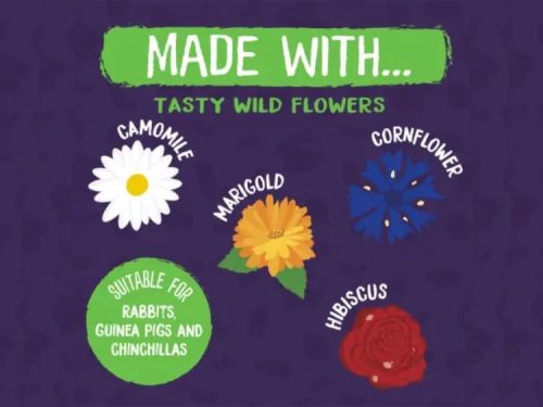 Burgess Excel Wildflower Forage 75g 2