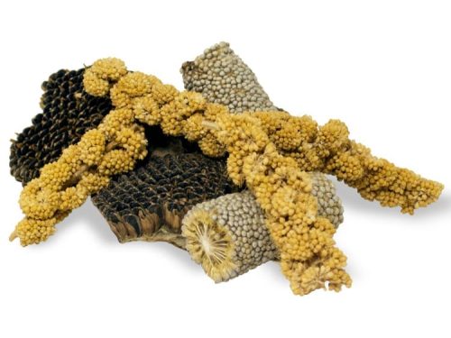 JR Farm Gnavestykker 50g åben