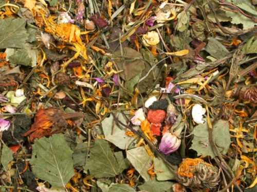 JR Farm Markurter åben