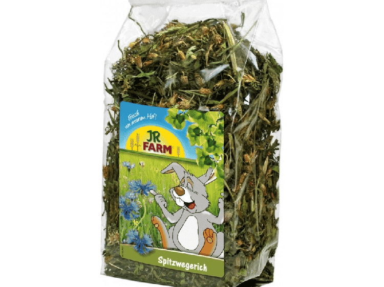 JR FARM Spitzwegerich til gnavere, naturligt tilskud af tørrede urter i praktisk pose, ideelt til at forbedre dyrenes kost og trivsel.