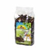 Johannisbrots snacks fra JR FARM til gnavere og mindre kæledyr, ideelle til belønning og sund snacking. Fantastisk til kaniner, marsvin og andre smådyr.
