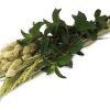 JR12890 JR Farm Urtehøst 80G åben