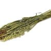 JR12891 JR Farm Sommerhøst 80G åben