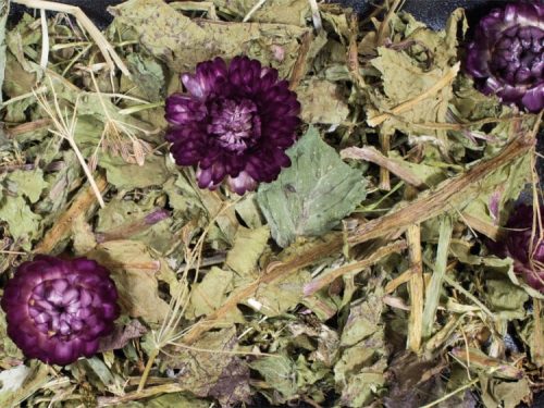 JR16129 JR Farm Grainless PLUS Kommen-Mælkebøtte 100G åben