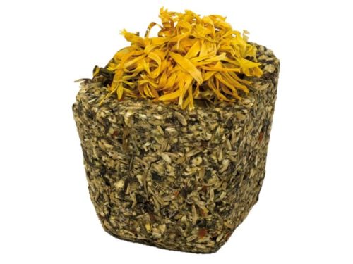 JR16296 JR Farm Grainless Gnaverskål mix 75G 4
