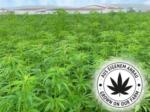 JR23909 - JR Farm Grainless Health CBD Sticks Pels & Hud 75g mark