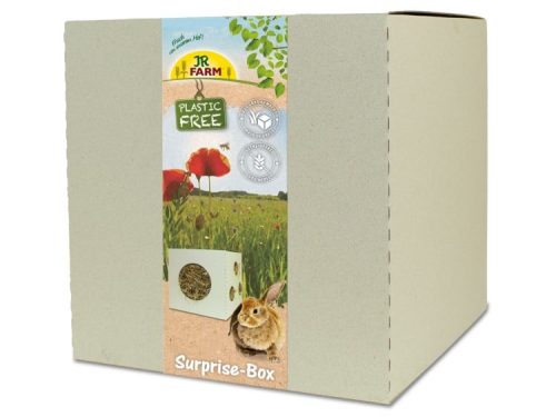 JR24781 - JR FARM PlastikFri SurpriseBox 35x35x35cm 1,75kg 1
