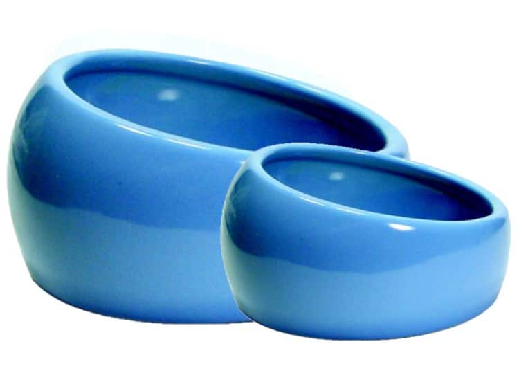 Living World lyseblå side