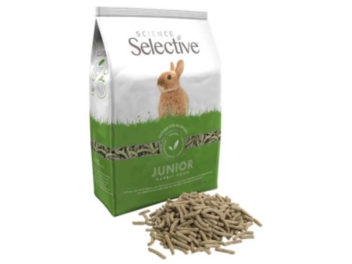Science Selective Junior kanin