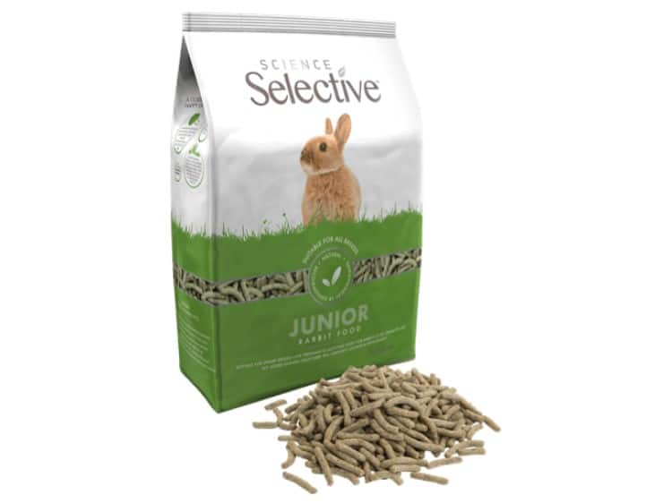 Science Selective Junior kanin