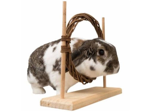 TX61910 - Trixie Aktivitets sæt m. forhindring og ring