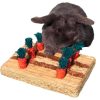 Rosewood Boredom Breaker Carrot Play Patch