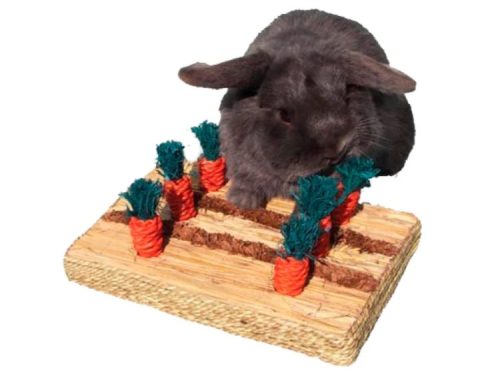 Rosewood Boredom Breaker Carrot Play Patch