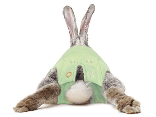 Medical Pet Shirt2