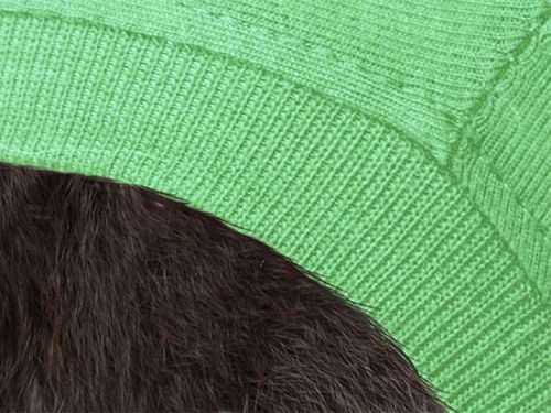 Medical Pet Shirt3