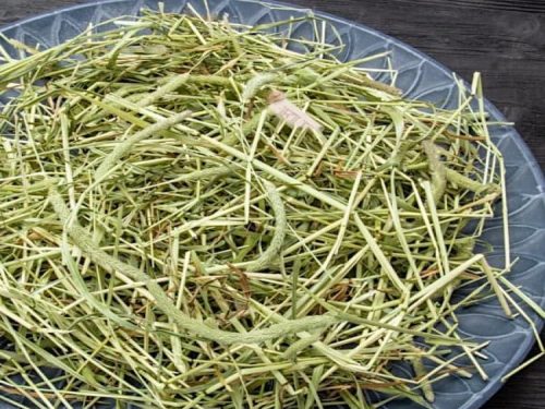 Tørret græs til gnavere, ideelt som fodertilskud til hamstere, marsvin og kaniner, præsenteret på en skål.