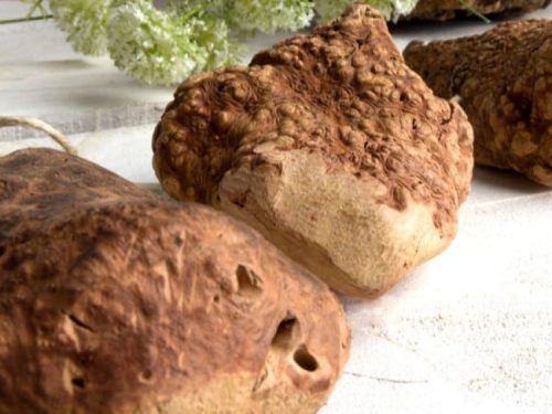 Naturlige gnaverlegemer i træ med en interessant tekstur, ideelle som aktivitets- og legetilbehør til gnavere og mindre kæledyr. Perfekt til at stimulere nysgerrighed og legeinstinkt.