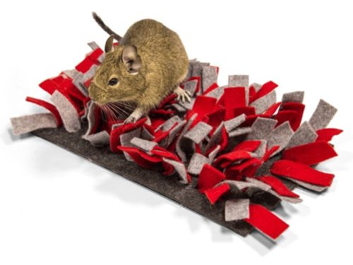 Gnaver legetøj i filt med farverige frynser, ideelt til små kæledyr som dværgmus og hamster. Perfekt til at stimulere leg og aktivitet.