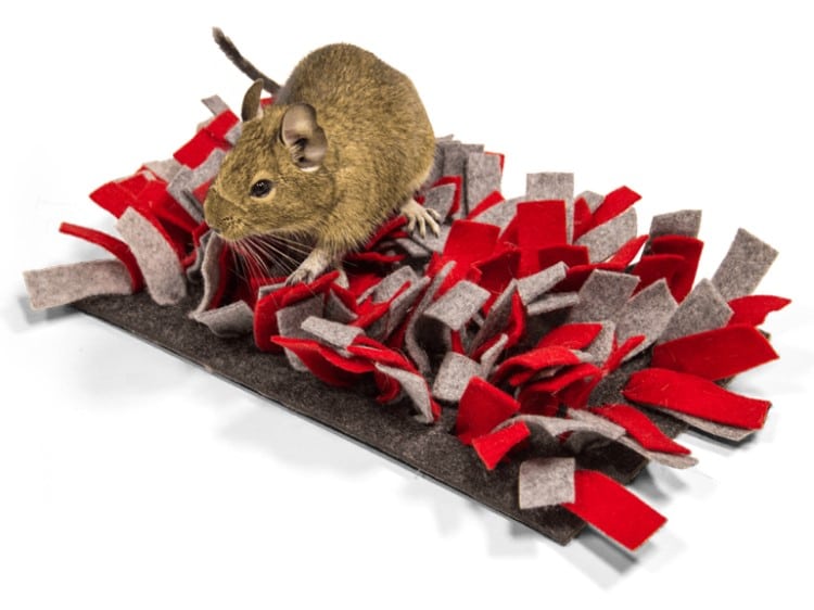 Gnaver legetøj i filt med farverige frynser, ideelt til små kæledyr som dværgmus og hamster. Perfekt til at stimulere leg og aktivitet.