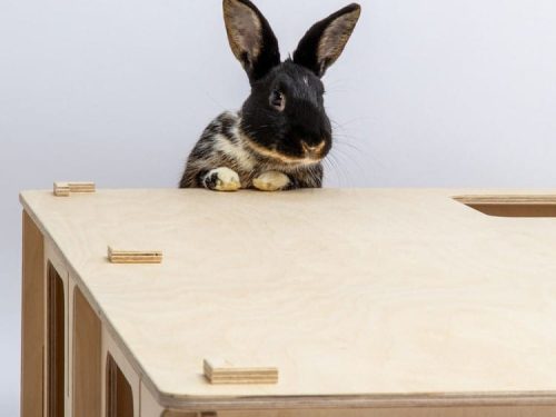 BN17701 - Bunny Nature Labyrint Legehus 110x26x57,5 cm2