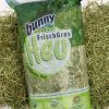 Bunny FrischGras hø til gnavere, naturligt og sundt foder, pakket i praktisk pose med friskt græs. Ideelt til kaniner og mindre kæledyr.