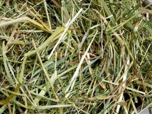 Hø til gnavere og mindre kæledyr, ideelt til at sikre en sund og varieret kost. Perfekt til kaniner, marsvin og andre smådyr.