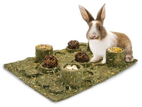 En sød kanin står på en naturlig græsplæne med flere foderkugler og snacks til gnavere. Ideel til små kæledyr som kaniner og marsvin, der kræver et stimulerende og sundt miljø. Perfekt til at sikre leg og velvære.