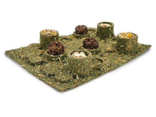 Foderbrik med græs og snacks til gnavere, ideel til stimulering og aktivering af mindre kæledyr. Perfekt til hamstere, marsvin og kaniner.