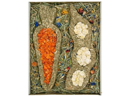 Naturlig snacks til gnavere, formet som gulerod og ærter, lavet af tørrede grøntsager og urter, ideel til at stimulere gnaveres naturlige tyggebehov. Perfekt til hamstere, kaniner og andre mindre kæledyr.