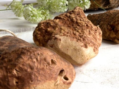 Naturlige gnavergrene til leg og tandpleje, ideelle til hamstere og mus. Perfekte til at stimulere dyrenes naturlige instinkter og sikre sund tandpleje.