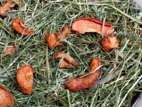 Tørrede frugtskiver og hø til små gnavere, ideelt som en sund snack og tilskud til deres kost. Perfekt til hamstere, marsvin og andre små kæledyr.