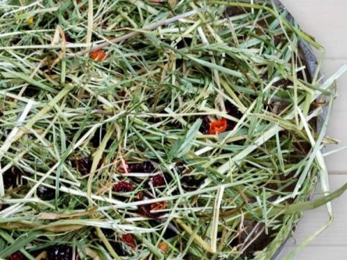 Frisk hø til gnavere med tørrede frugter, ideelt til hamster, kanin og marsvin. Perfekt til at sikre en sund og varieret kost for små kæledyr.