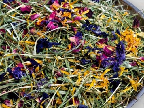 Blanding af tørrede urter og blomsterblade til gnavere, ideel som naturlig snack og tilskud til kost. Perfekt til kaniner og marsvin for at fremme sundhed og trivsel.