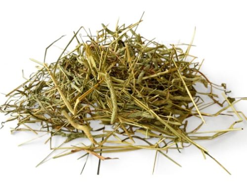 Hø til gnavere og mindre kæledyr, ideelt som naturlig fodertilskud for sundhed og trivsel. Perfekt til hamstere, kaniner og marsvin.