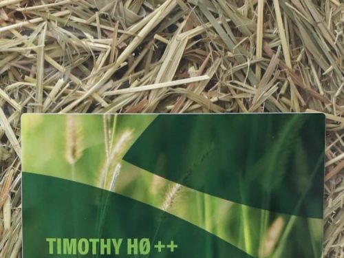 Timothy hø til gnavere, ideelt til at støtte en sund kost for kaniner og marsvin. Udstyr til små kæledyr fra Gnavernes Univers.