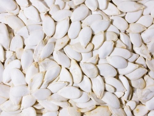 Hvide græskarkerner, ideelle som sund snack til gnavere og mindre kæledyr, rig på næringsstoffer og sundhedsmæssige fordele.