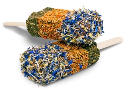 Gnavere snack pops med naturlige ingredienser og farverige blomster, ideelle til hamstere og andre små kæledyr. Perfekt som en sund godbid til at stimulere gnaverens sanser.