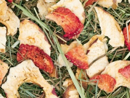 Tørrede æbleskiver blandet med hø, ideelt som sund snack til gnavere og mindre kæledyr. Perfekt til at tilføje variation i kosten og stimulere naturlig gnaveadfærd.