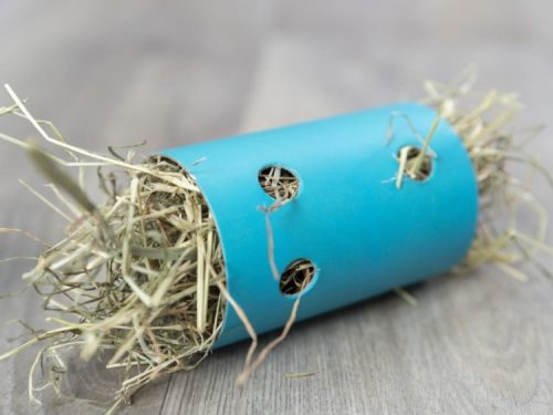 Gnaver legetøj med hø, ideelt til hamstere og andre små kæledyr, i farverig blå emballage med huller for leg og stimulation. Perfekt til at holde dit kæledyr aktiv og underholdt.