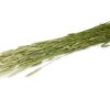 JR18674 - JR Farm Timothy høst 80g åben