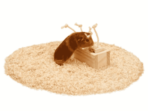 Træning kasse med 4 blokke