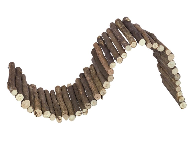 Naturlig klatre- og legebro til gnavere, fremstillet af brune grene, ideel til at fremme aktivitet og trivsel hos mindre kæledyr.