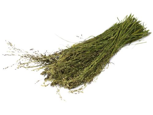 JR Farm Naturgræshøst 80g åben