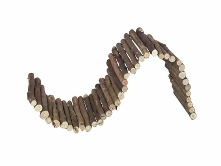 Kreativ klatrebro i træ til gnavere, ideel til aktivering og leg i bur. Robust design, der sikrer sjov og stimulation for mindre kæledyr.