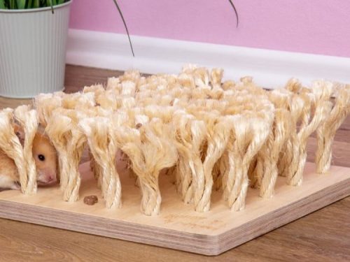 Gnaver aktivitetslegetøj lavet af naturligt sisal, ideelt til hamstere og mindre kæledyr, der giver stimulering og underholdning.